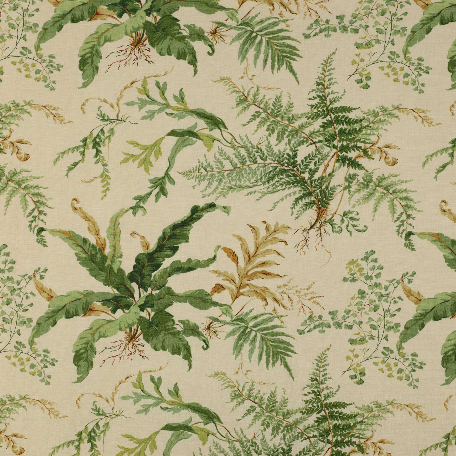 Kreativhaus | Colefax and Fowler - Kendal - F3218/01 Green