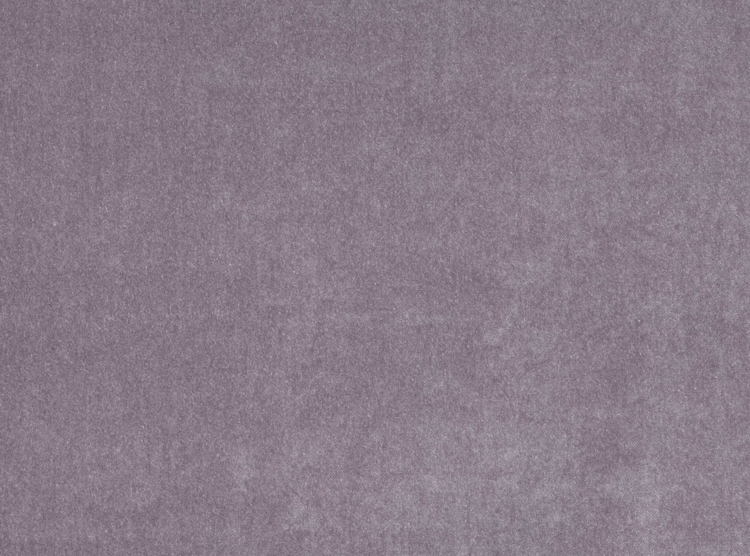 Lavender trio - Mademoiselle