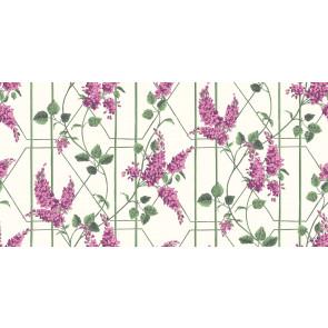 Cole & Son - Botanical Botanica - Wisteria 115/5013