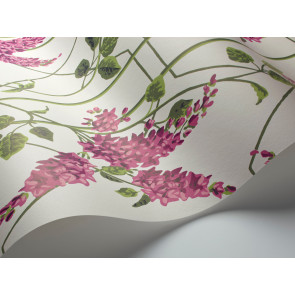 Cole & Son - Botanical Botanica - Wisteria 115/5013