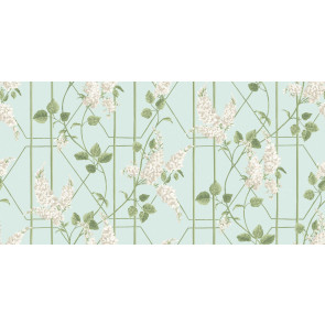 Cole & Son - Botanical Botanica - Wisteria 115/5014