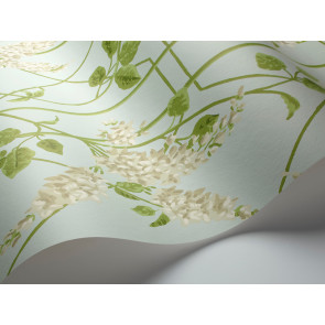 Cole & Son - Botanical Botanica - Wisteria 115/5014