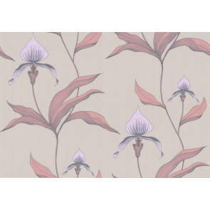 Cole & Son - New Contemporary I - Orchid 66/4025