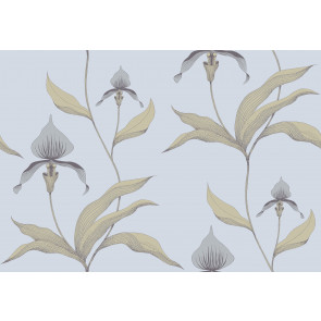 Cole & Son - New Contemporary I - Orchid 66/4026