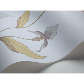 Cole & Son - New Contemporary I - Orchid 66/4026