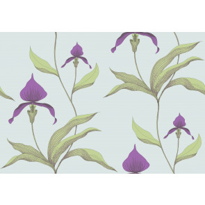 Cole & Son - New Contemporary I - Orchid 66/4027