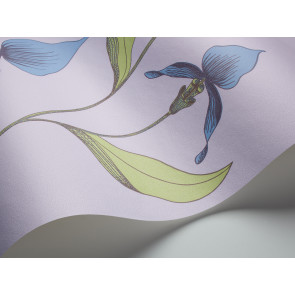 Cole & Son - New Contemporary I - Orchid 66/4031