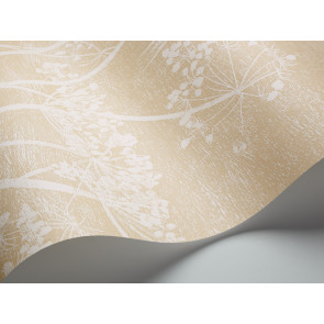 Cole & Son - New Contemporary I - Cow Parsley 66/7049