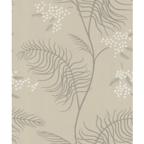 Cole & Son - New Contemporary II - Mimosa 69/8131