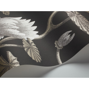 Cole & Son - Contemporary Restyled - Summer Lily 95/4026