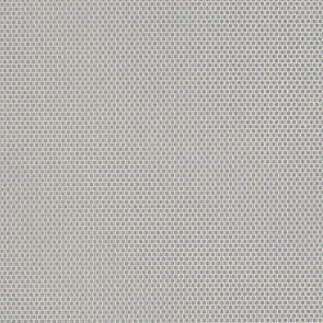 Casamance - Vertige - Ivresse - 73650255 Gris