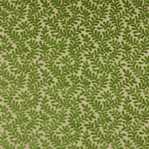 Colefax and Fowler - Brooke - Leaf Green - F3909/03