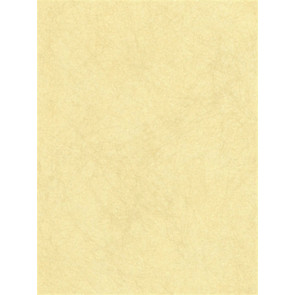 Osborne & Little - O&L Wallpaper Album 6 - Quartz CW5410-31