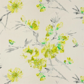 Designers Guild - Oriental Flower - Acacia - FDG2292-01