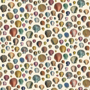 Designers Guild - Captain Thomas Browns Shells - FJD6003/01 Sepia