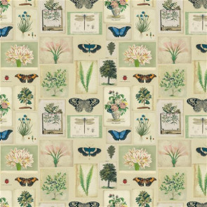 Designers Guild - Flora And Fauna - FJD6007/01 Parchment