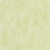 Designers Guild - Parchment - PDG719/31 Cardamon Pod